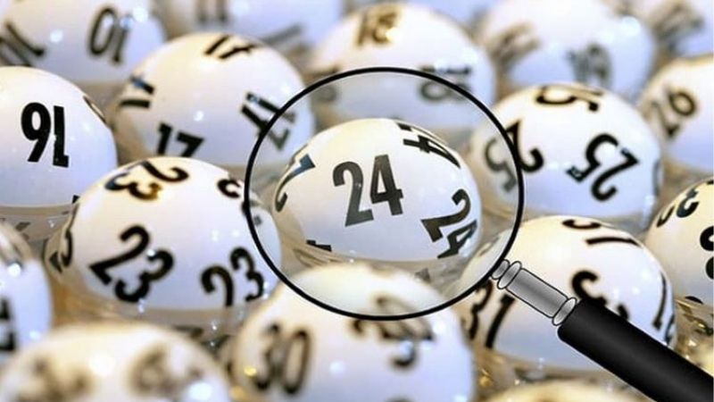 1 Điểm Lô Ba Càng Ăn Bao Nhiêu Và Tỷ Lệ Ăn Thực Tế Hi88