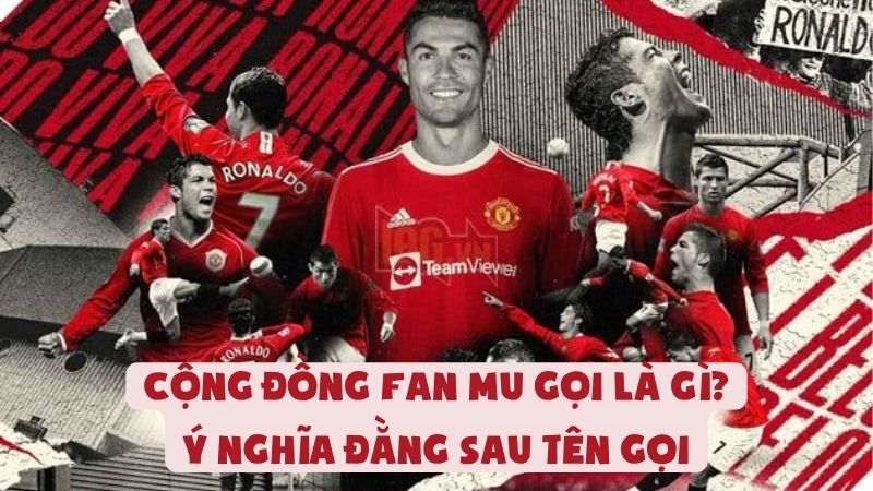 Cộng Đồng Fan MU Gọi Là Gì? Ý Nghĩa Đằng Sau Tên Gọi