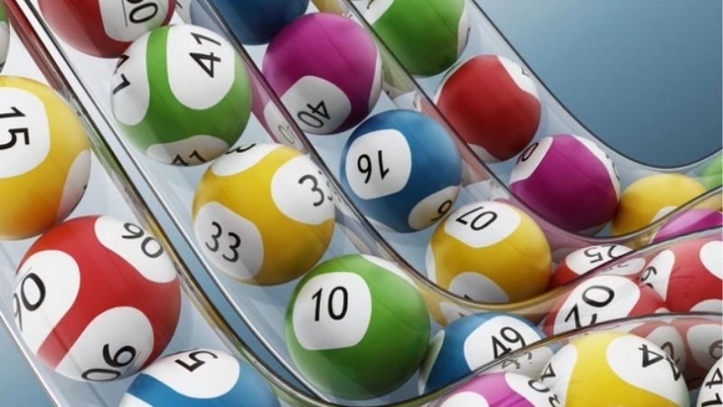 Kép Âm Gồm Những Con Nào | Bí Kíp Phân Biệt Nhóm Số Nhanh