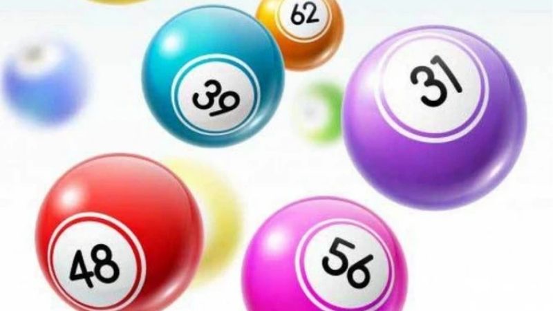 Kép Âm Gồm Những Con Nào | Bí Kíp Phân Biệt Nhóm Số Nhanh