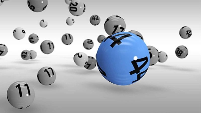 Kép Bằng Gồm Những Con Gì | Giải Mã Chuỗi Số Đặc Biệt