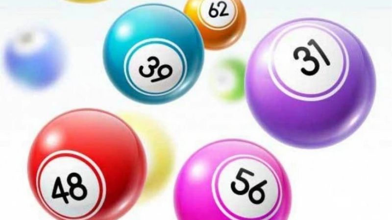 Kép Bằng Gồm Những Con Gì | Giải Mã Chuỗi Số Đặc Biệt