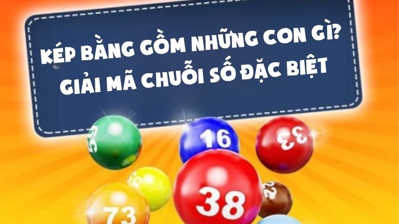 Kép Bằng Gồm Những Con Gì | Giải Mã Chuỗi Số Đặc Biệt