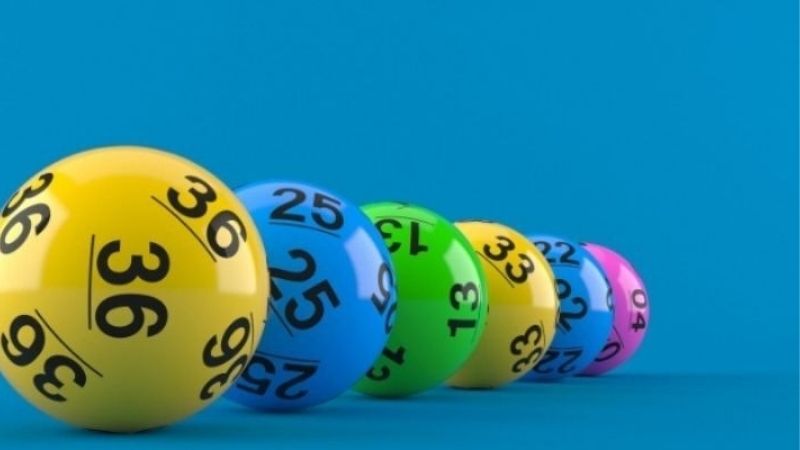 Kép Lệch Bao Nhiêu Ngày Chưa Ra - Dấu Hiệu Nhận Biết Nhanh