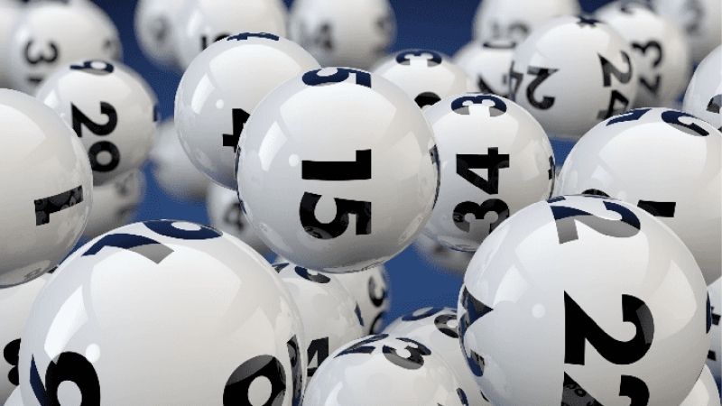 Kép Lệch Bao Nhiêu Ngày Chưa Ra - Dấu Hiệu Nhận Biết Nhanh