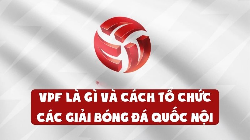 VPF Là Gì Và Cách Tổ Chức Các Giải Bóng Đá Quốc Nội